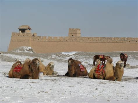 Jiayuguan Pass! A Majestic Fortress Guarding the Western Frontier!