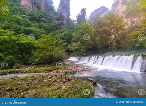 Golden Whip Stream Cascading Waterfalls and Enchanting Valley Views!