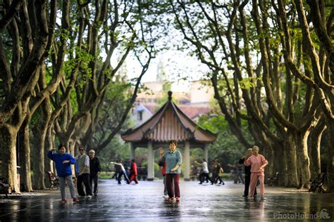 Xiangyang Park: A Haven of Tranquility and Stunning Nature Views in Xiongnu City!